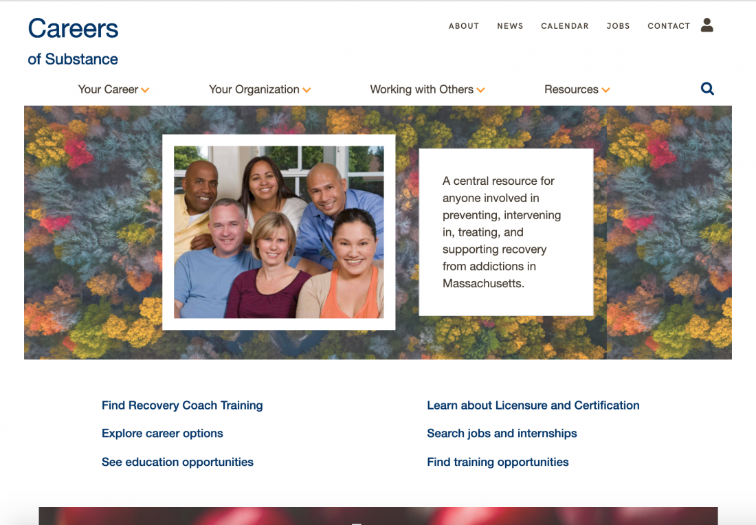 Careers of Substance homepage screenshot